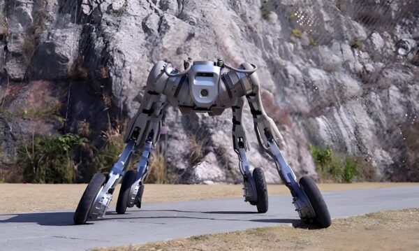 Unitree B2-w Release efficiency beyond distance All terrain access, industry standard - 图片 2